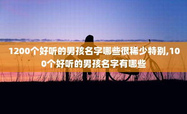 1200个好听的男孩名字哪些很稀少特别,100个好听的男孩名字有哪些