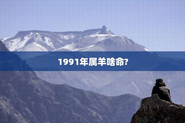 1991年属羊啥命?