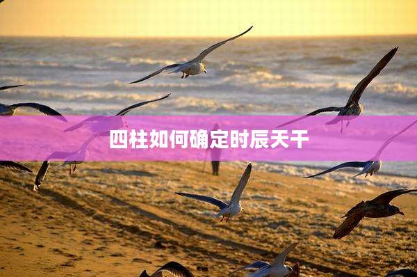四柱如何确定时辰天干