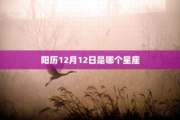 阳历12月12日是哪个星座