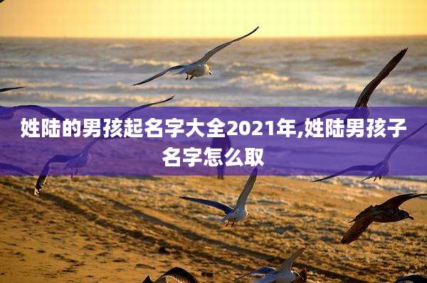 姓陆的男孩起名字大全2021年,姓陆男孩子名字怎么取