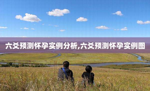 六爻预测怀孕实例分析,六爻预测怀孕实例图
