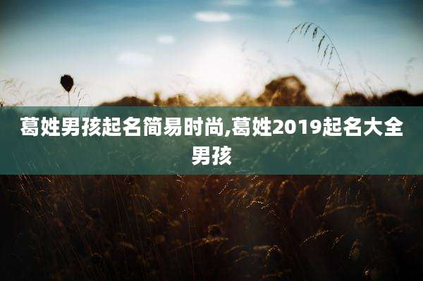 葛姓男孩起名简易时尚,葛姓2019起名大全男孩