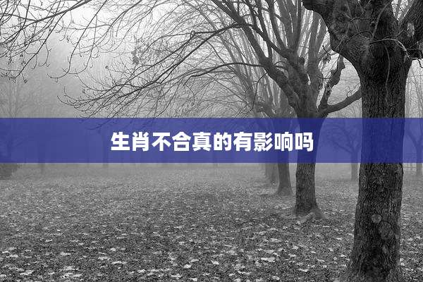 生肖不合真的有影响吗