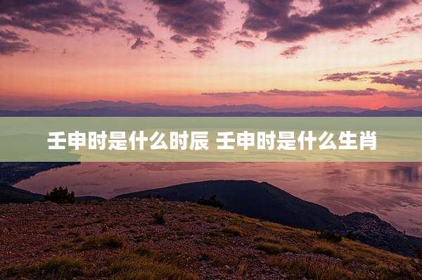 壬申时是什么时辰 壬申时是什么生肖