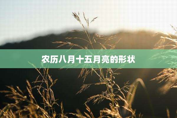 农历八月十五月亮的形状