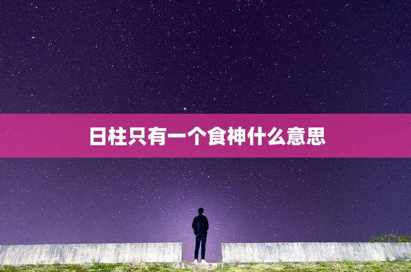 日柱只有一个食神什么意思