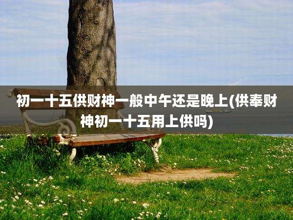 初一十五供财神一般中午还是晚上(供奉财神初一十五用上供吗)