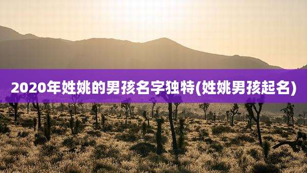 2020年姓姚的男孩名字独特(姓姚男孩起名)
