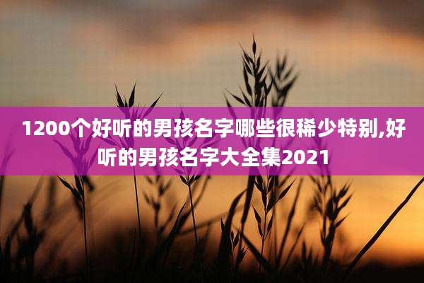 1200个好听的男孩名字哪些很稀少特别,好听的男孩名字大全集2021