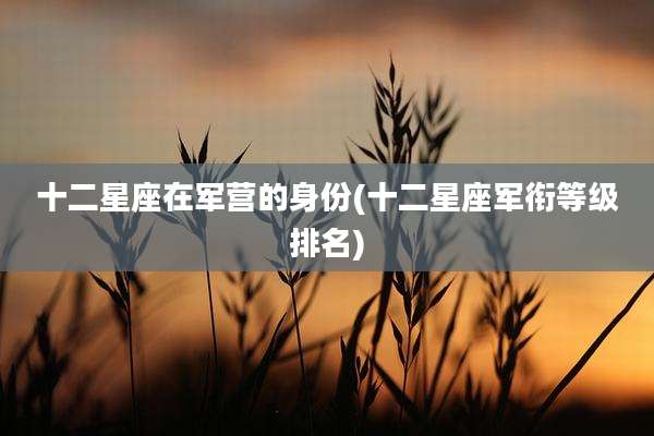 十二星座在军营的身份(十二星座军衔等级排名)