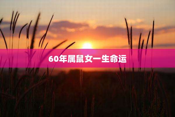 60年属鼠女一生命运