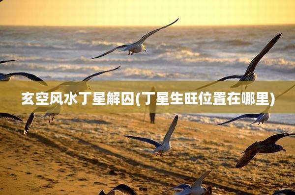 玄空风水丁星解囚(丁星生旺位置在哪里)
