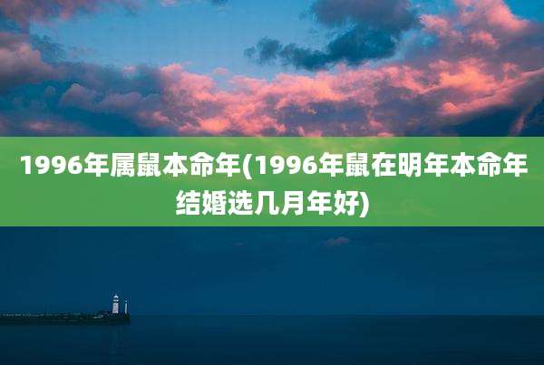 1996年属鼠本命年(1996年鼠在明年本命年结婚选几月年好)