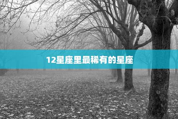 12星座里最稀有的星座