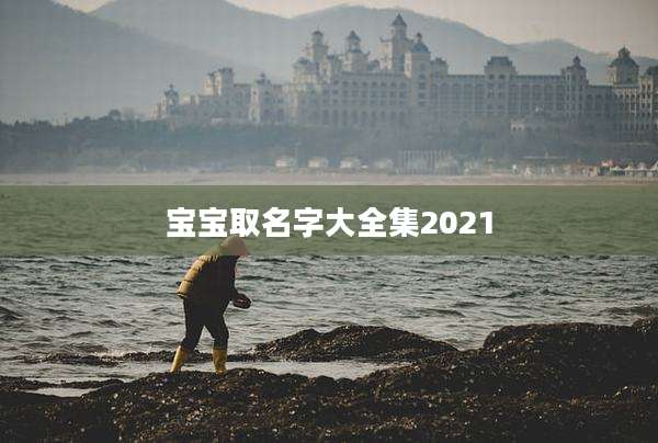 宝宝取名字大全集2021