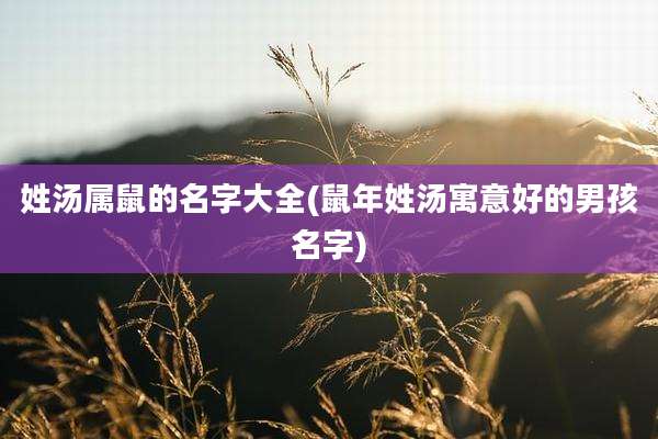 姓汤属鼠的名字大全(鼠年姓汤寓意好的男孩名字)