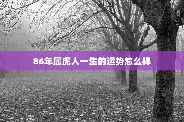86年属虎人一生的运势怎么样