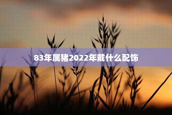 83年属猪2022年戴什么配饰