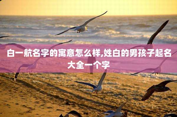 白一航名字的寓意怎么样,姓白的男孩子起名大全一个字