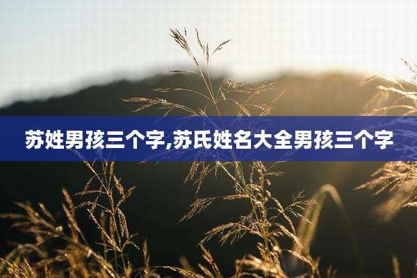苏姓男孩三个字,苏氏姓名大全男孩三个字