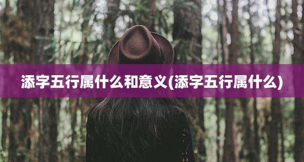 添字五行属什么和意义(添字五行属什么)