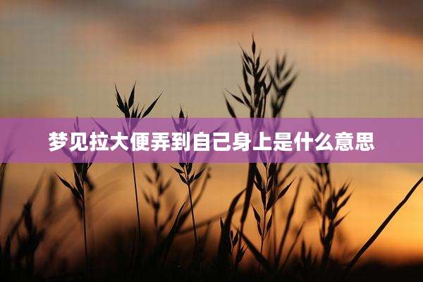 梦见拉大便弄到自己身上是什么意思