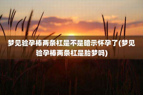 梦见验孕棒两条杠是不是暗示怀孕了(梦见验孕棒两条杠是胎梦吗)