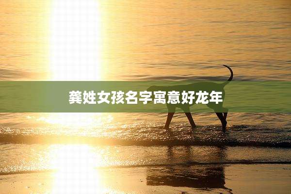 龚姓女孩名字寓意好龙年