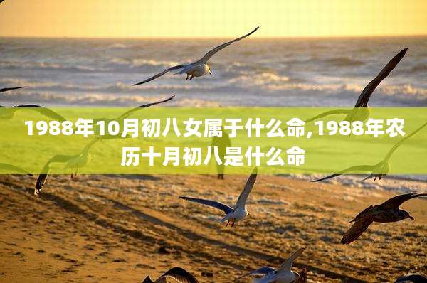 1988年10月初八女属于什么命,1988年农历十月初八是什么命