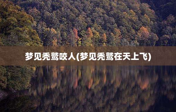 梦见秃鹫咬人(梦见秃鹫在天上飞)