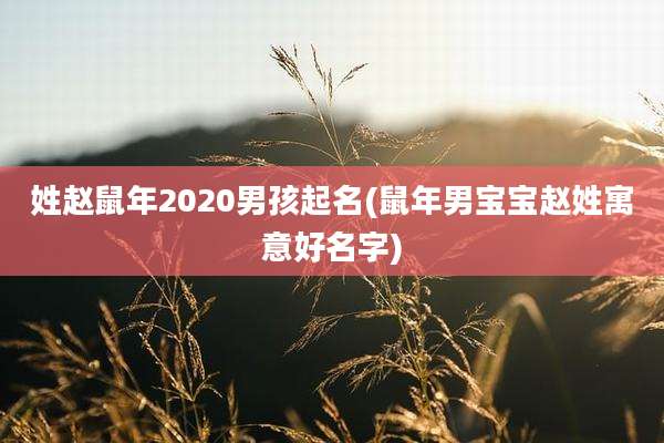姓赵鼠年2020男孩起名(鼠年男宝宝赵姓寓意好名字)