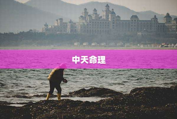 中天命理
