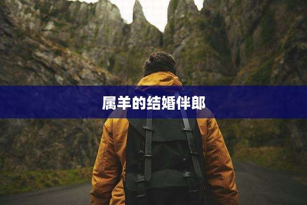 属羊的结婚伴郎