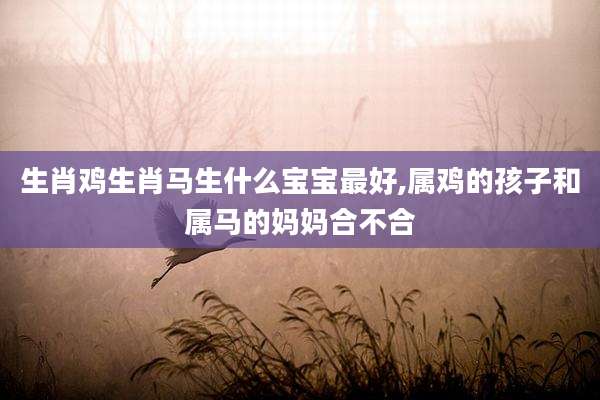 生肖鸡生肖马生什么宝宝最好,属鸡的孩子和属马的妈妈合不合