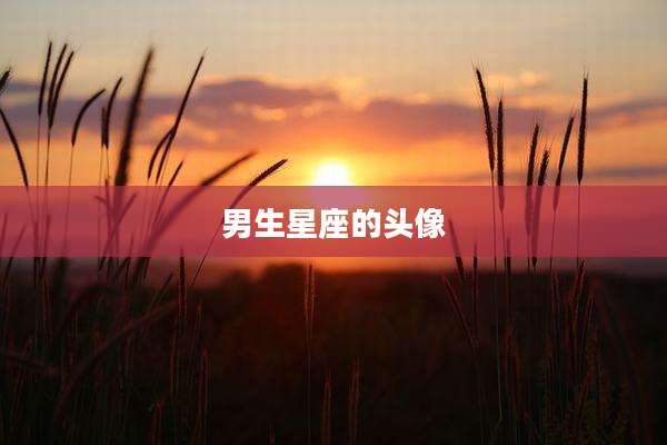 男生星座的头像