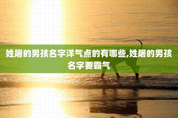 姓屠的男孩名字洋气点的有哪些,姓屠的男孩名字要霸气