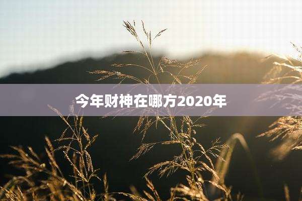 今年财神在哪方2020年