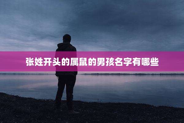 张姓开头的属鼠的男孩名字有哪些