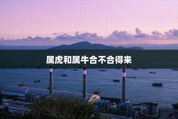属虎和属牛合不合得来