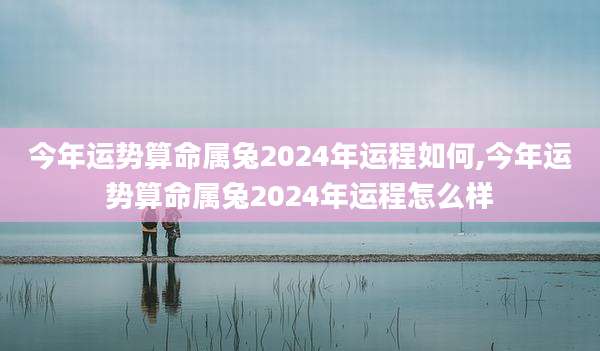 今年运势算命属兔2024年运程如何,今年运势算命属兔2024年运程怎么样