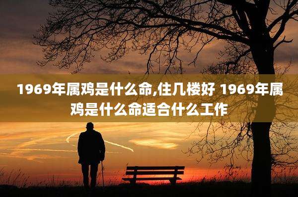 1969年属鸡是什么命,住几楼好 1969年属鸡是什么命适合什么工作