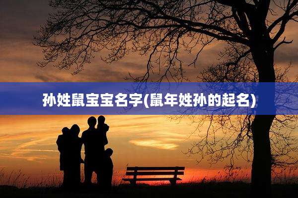 孙姓鼠宝宝名字(鼠年姓孙的起名)