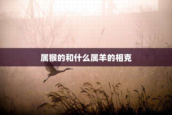 属猴的和什么属羊的相克