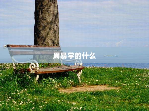 周易学的什么