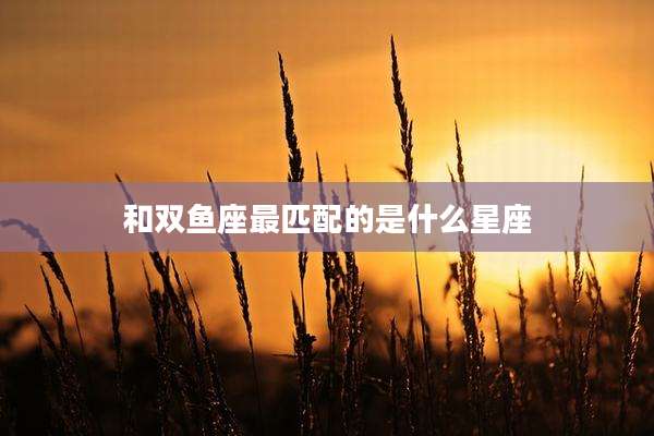 和双鱼座最匹配的是什么星座