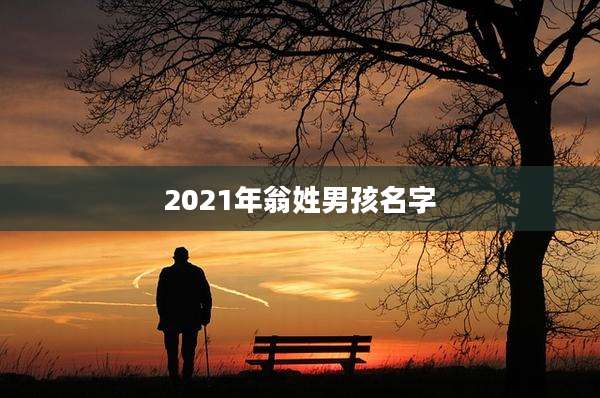2021年翁姓男孩名字