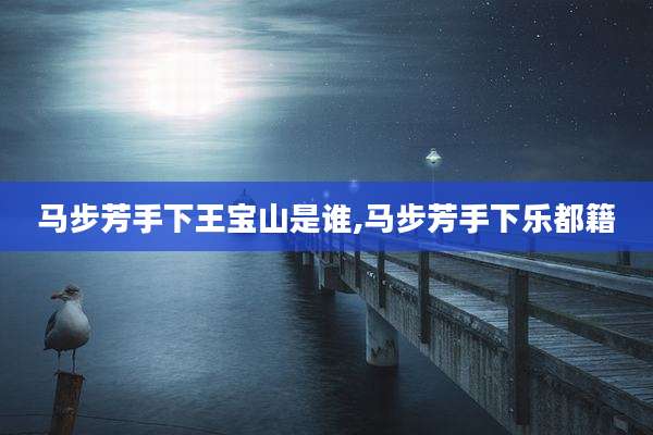 马步芳手下王宝山是谁,马步芳手下乐都籍