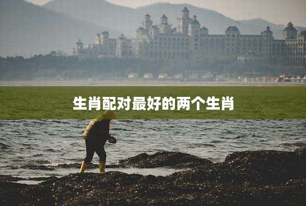 生肖配对最好的两个生肖