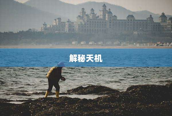 解秘天机
